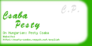 csaba pesty business card